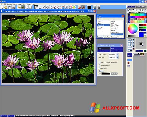 Снимка на екрана Pixia за Windows XP