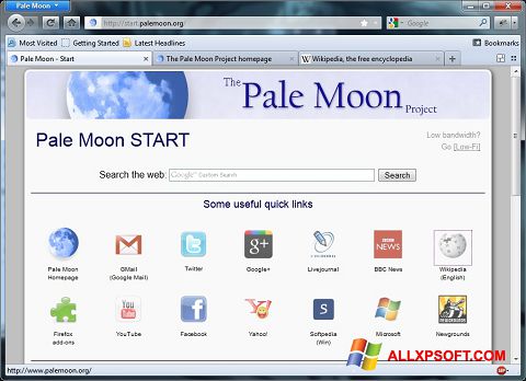 Снимка на екрана Pale Moon за Windows XP