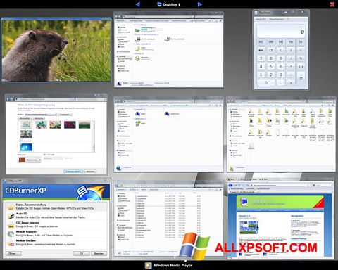 Снимка на екрана Dexpot за Windows XP