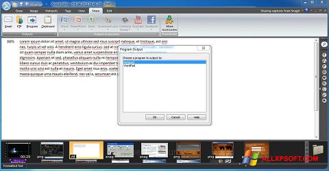 Снимка на екрана Snagit за Windows XP