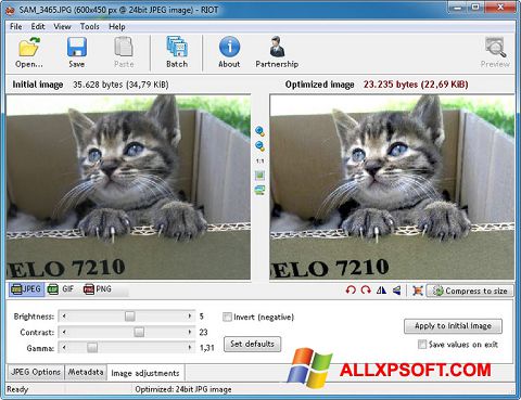 Снимка на екрана RIOT за Windows XP